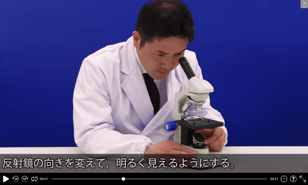 基本操作|顕微鏡の使い方
