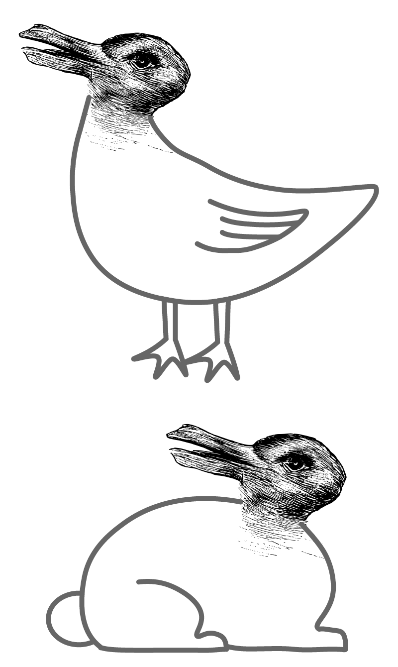ウサギとアヒルのライン