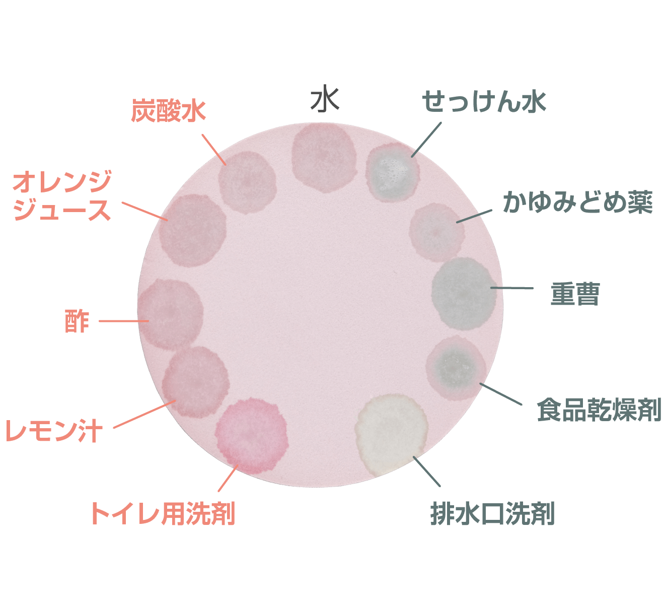 ブドウ液の色の変化（ろ紙）