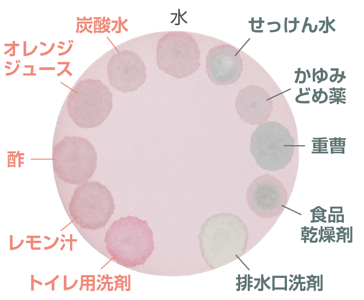 ブドウ液の色の変化（ろ紙）