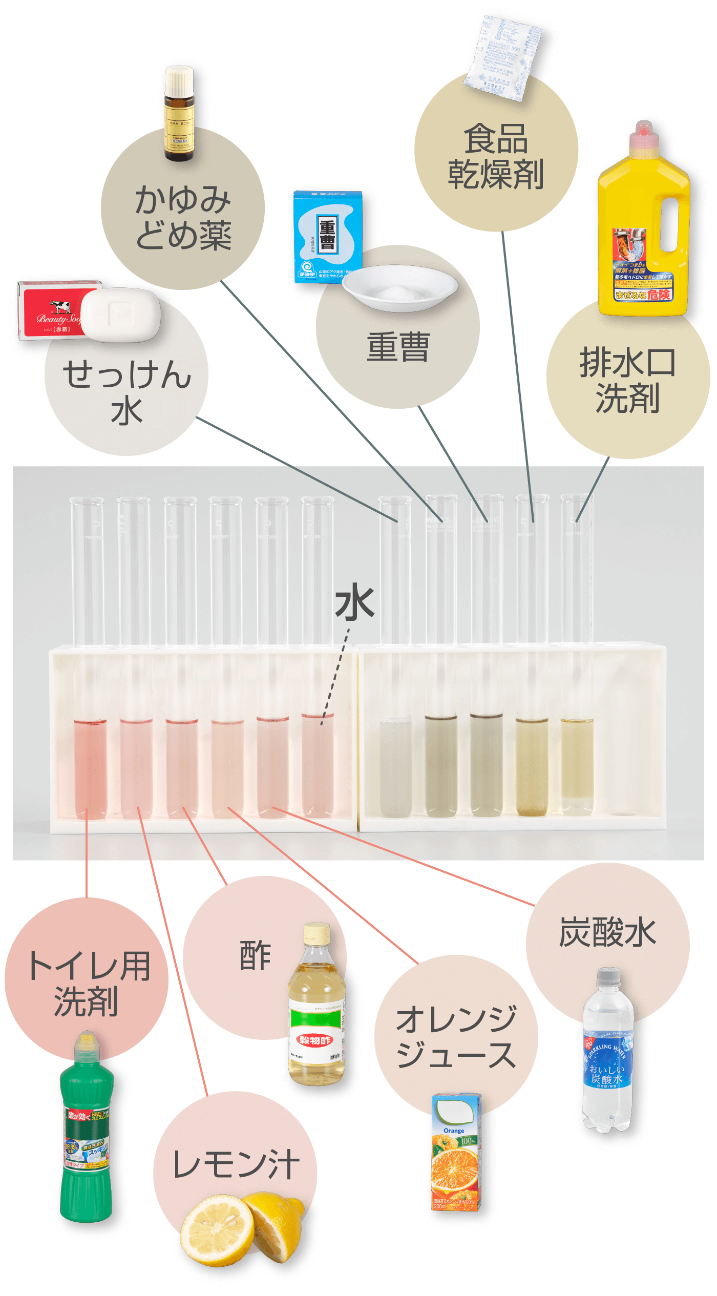 ブドウ液の色の変化