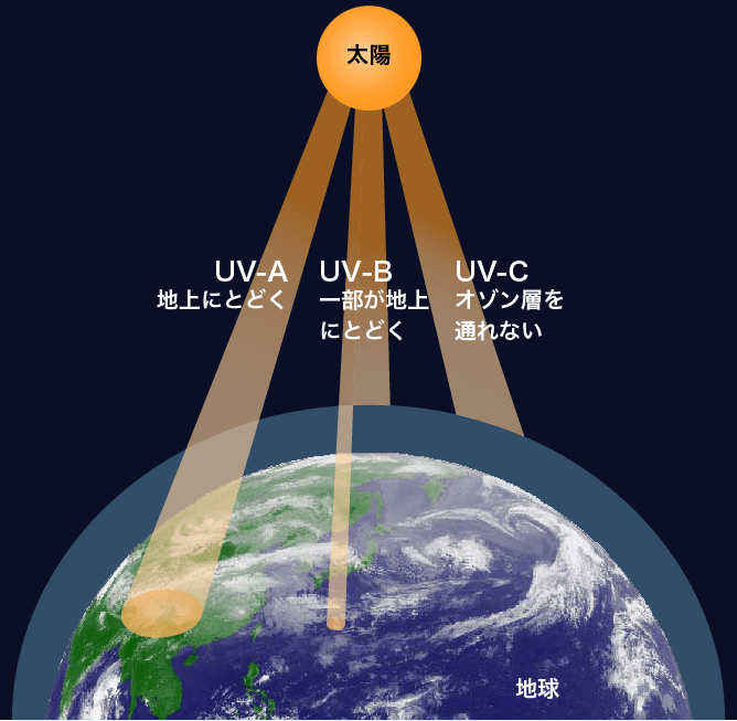 UV-A/B/C