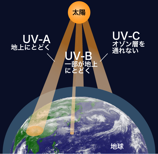 UV-A/B/C