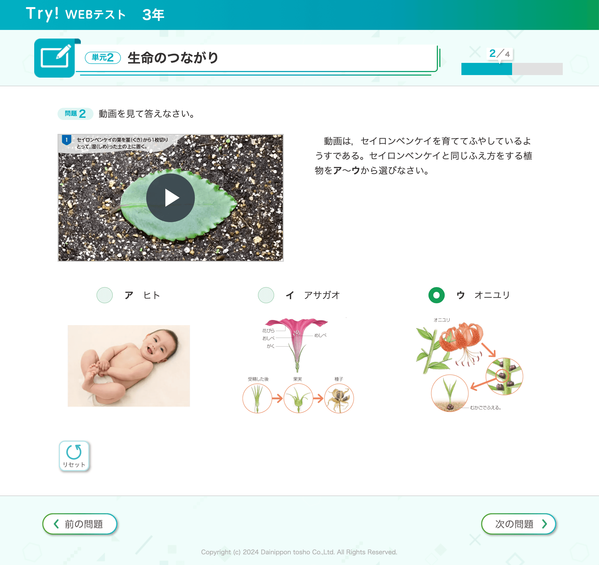 Try!WEBテスト２