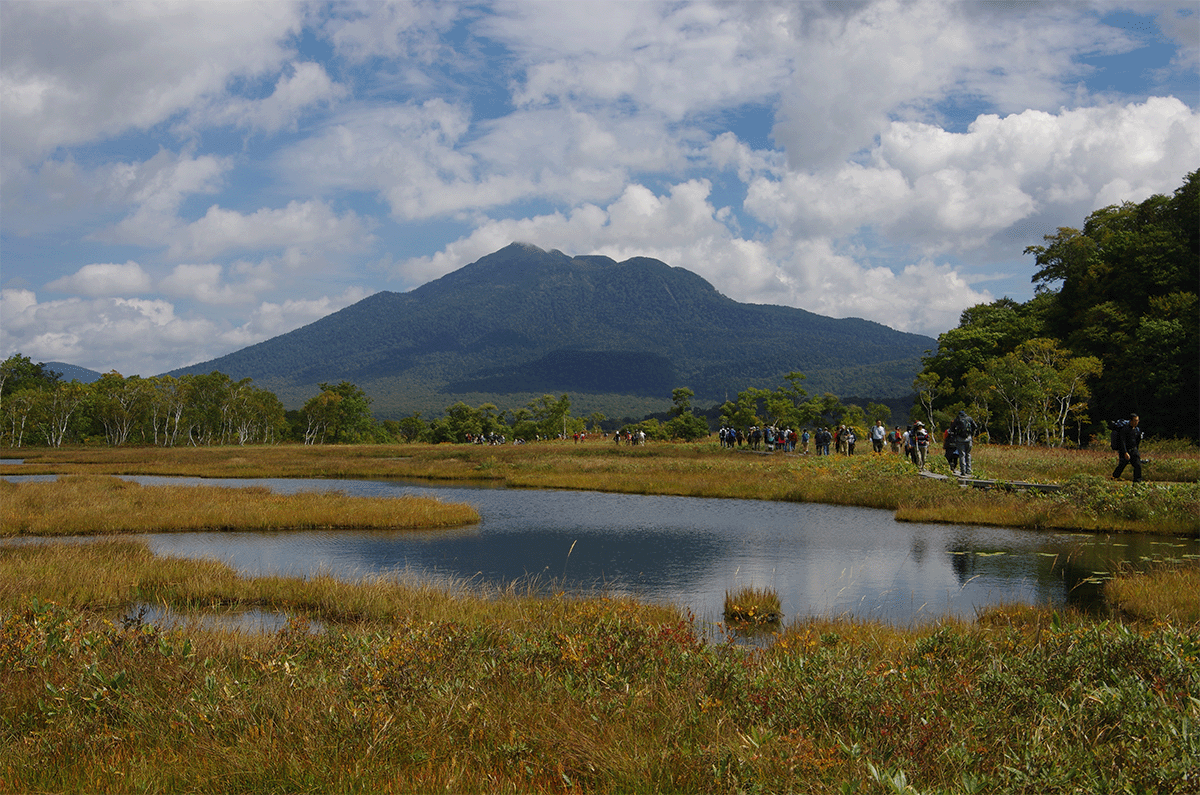 尾瀬国立公園