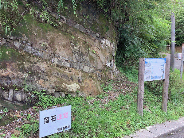 清和県民の森付近の地層