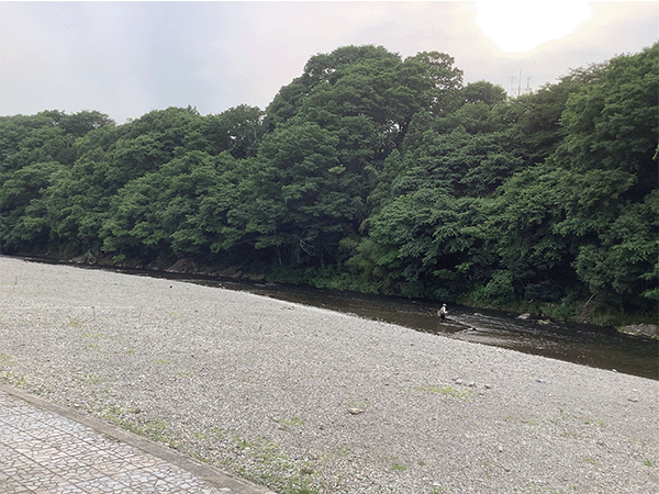 秋川｜中流その2
