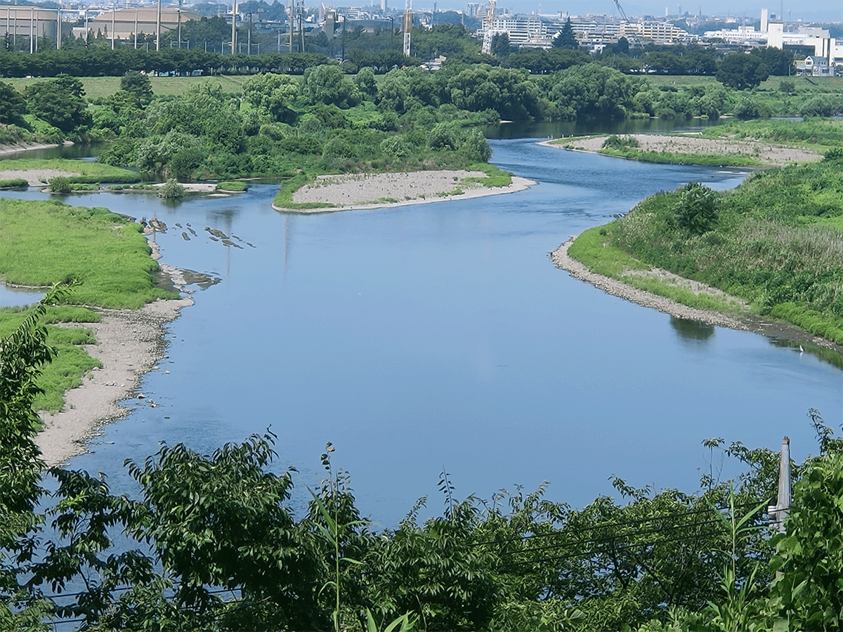 多摩川｜下流その2