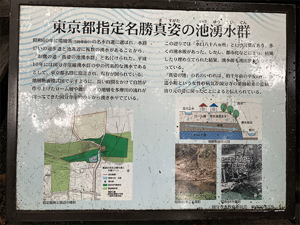 お鷹の道・真姿の池湧水群その2