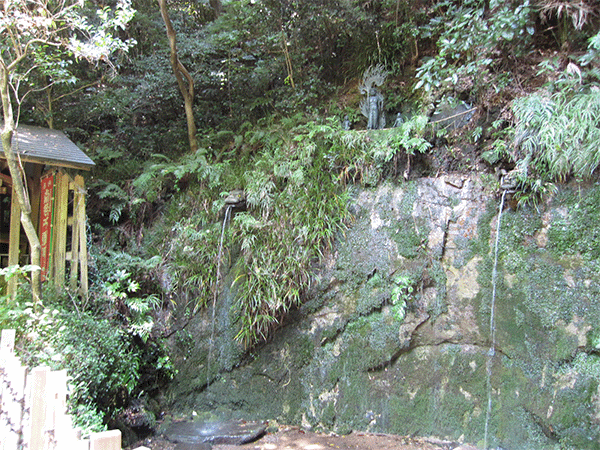 等々力不動尊（等々力渓谷の地層）