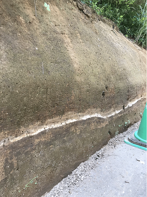 姶良Tn火山灰層（あつぎこどもの森公園）