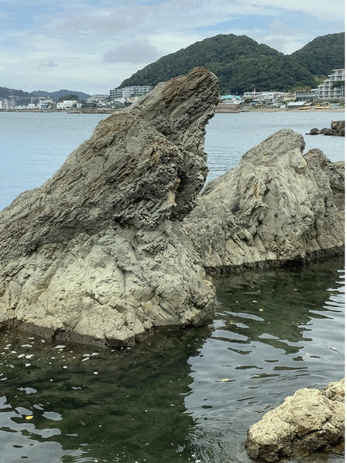 葉山層群森戸層