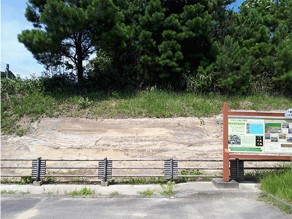 掛川層群｜宇刈里山公園