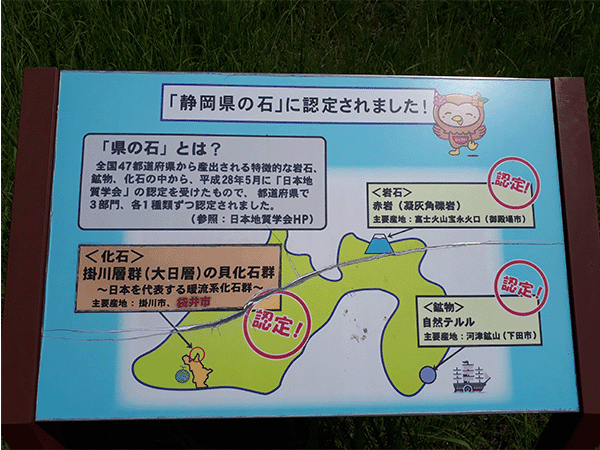 掛川層群｜宇刈里山公園その2