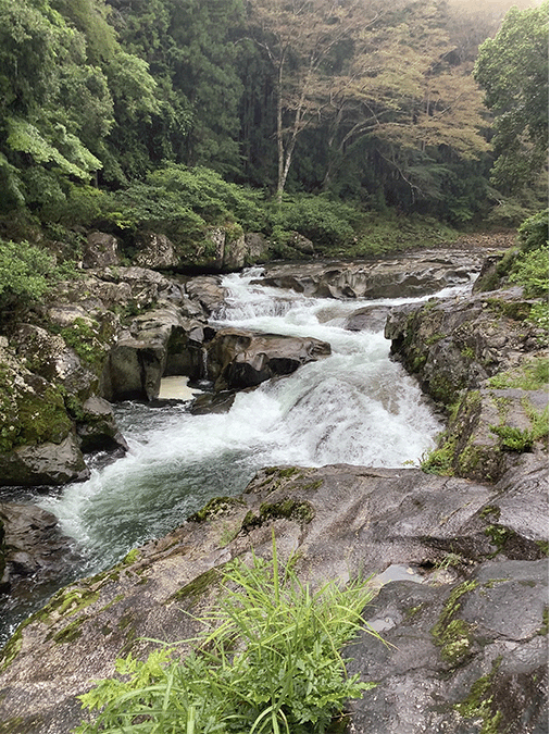 大千瀬川｜上流