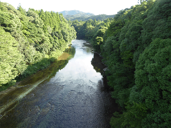 長篠大橋上流　圧砕岩