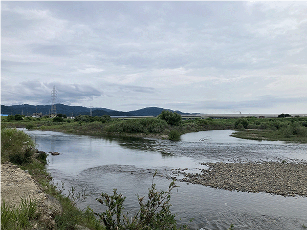淀川｜中流１