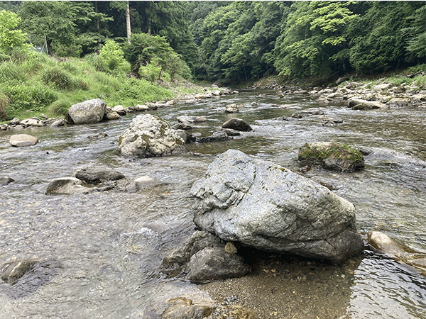 桂川｜上流