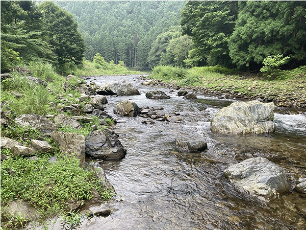 由良川｜上流