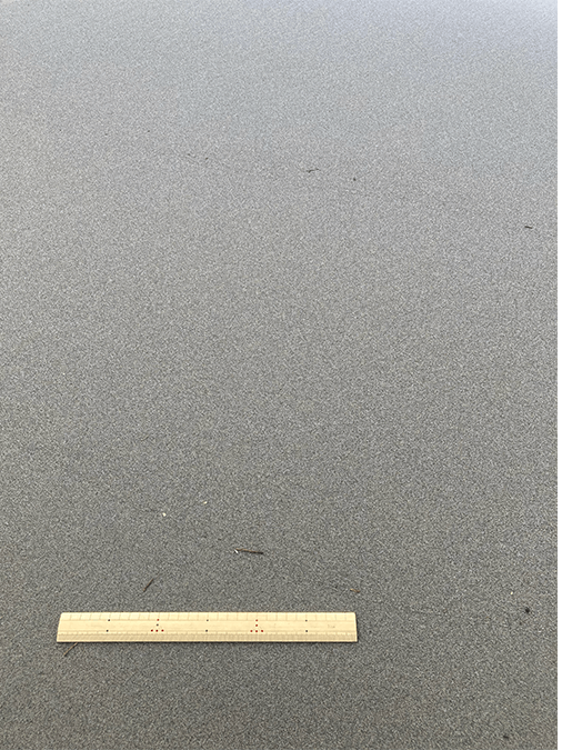 由良川｜下流その2
