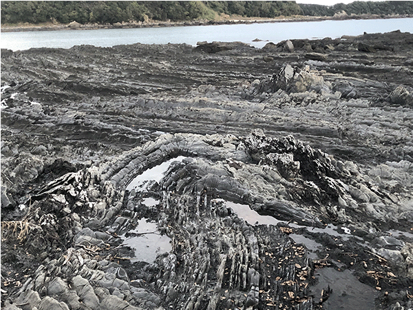 江田海岸