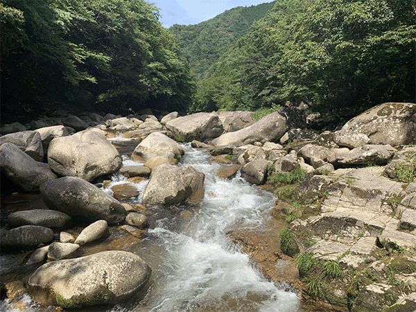 吉井川｜上流