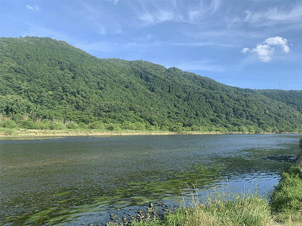 吉井川｜中流その2