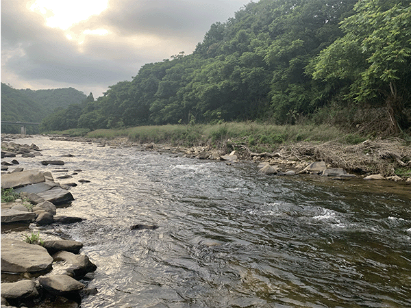 江の川｜中流１