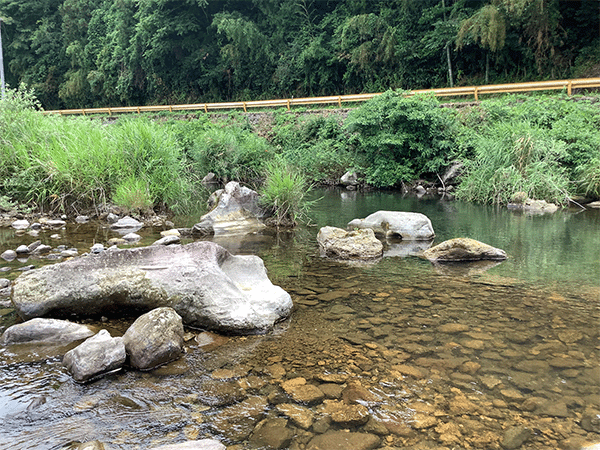 佐波川｜上流