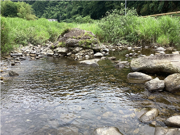 佐波川｜上流その2
