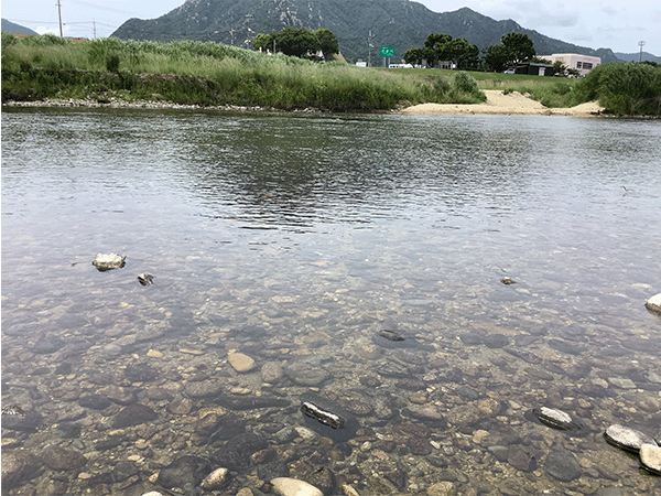 佐波川｜中流