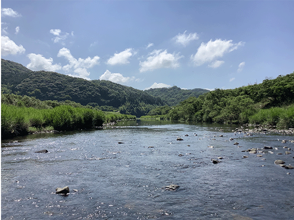 木屋川｜中流