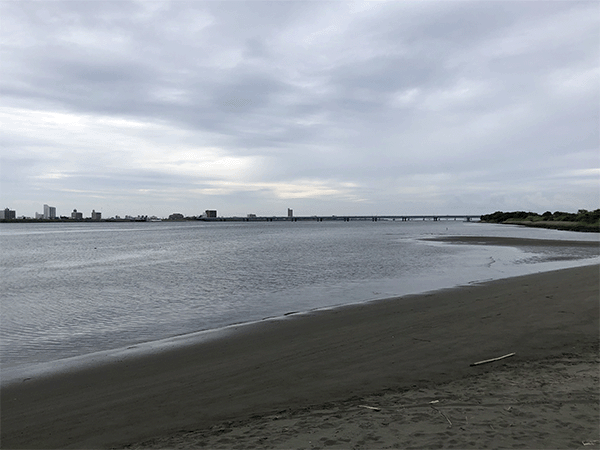 吉野川｜下流