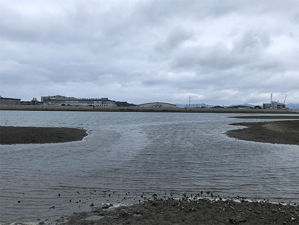 那賀川｜下流