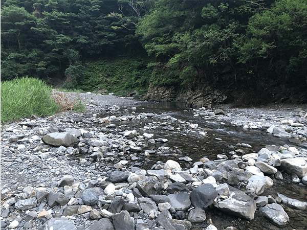 重信川｜上流