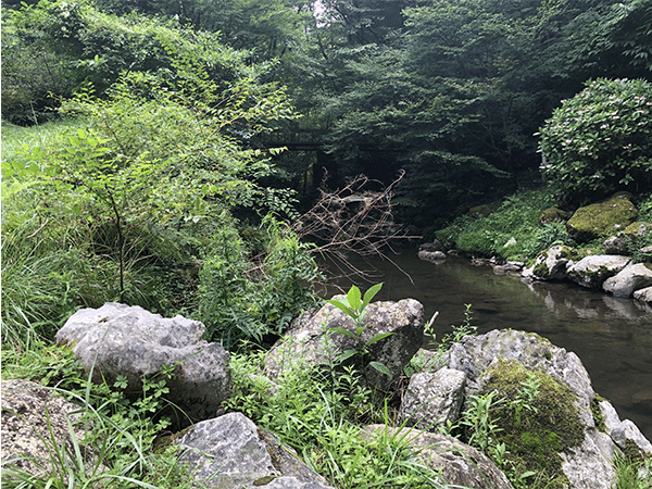 四万十川｜上流