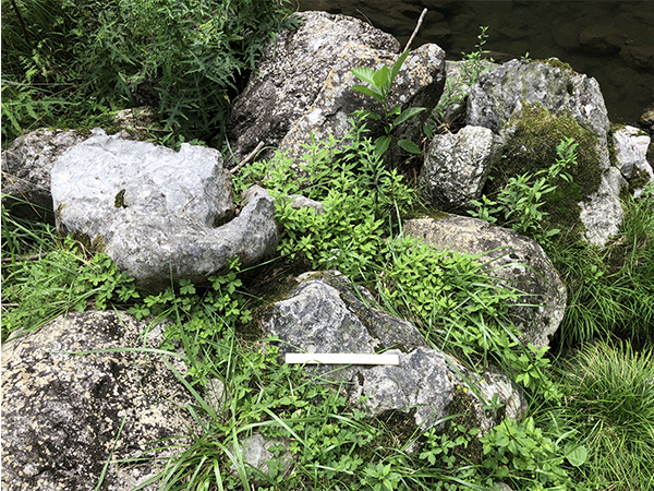 四万十川｜上流その2