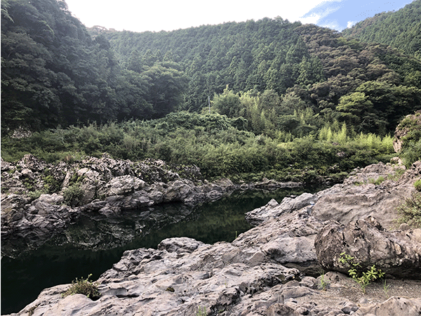 仁淀川｜上流