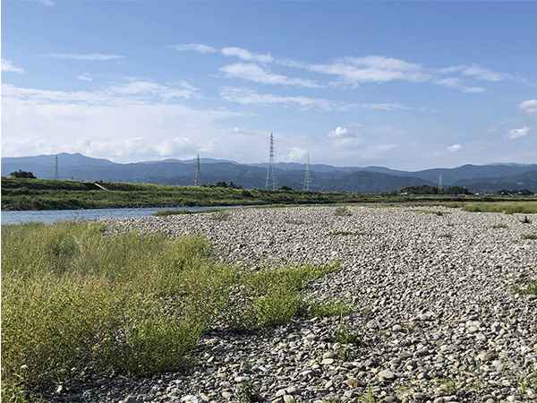 物部川｜中流