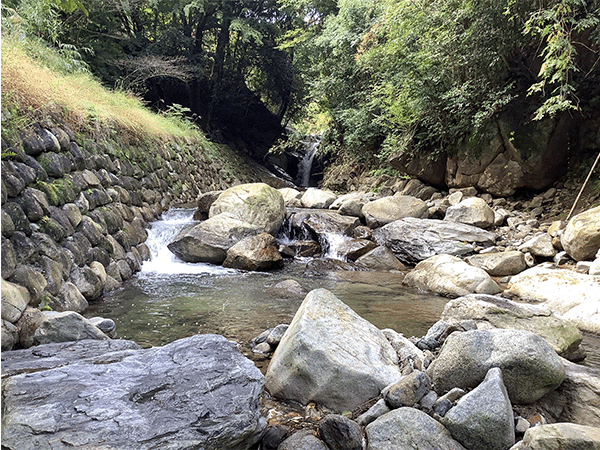 遠賀川｜上流