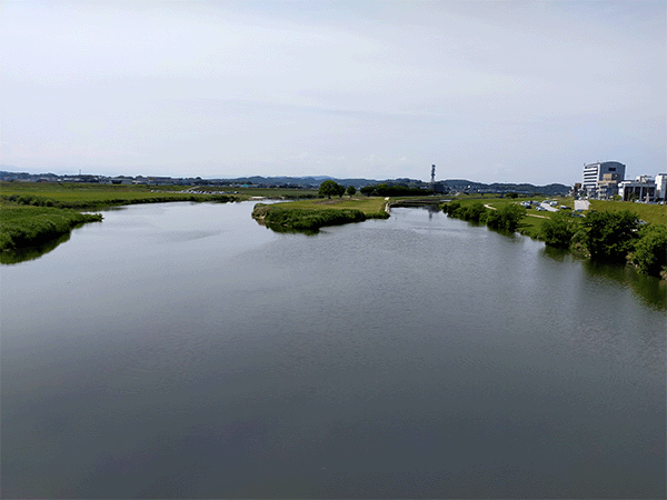 遠賀川｜中流