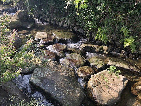 御笠川｜上流