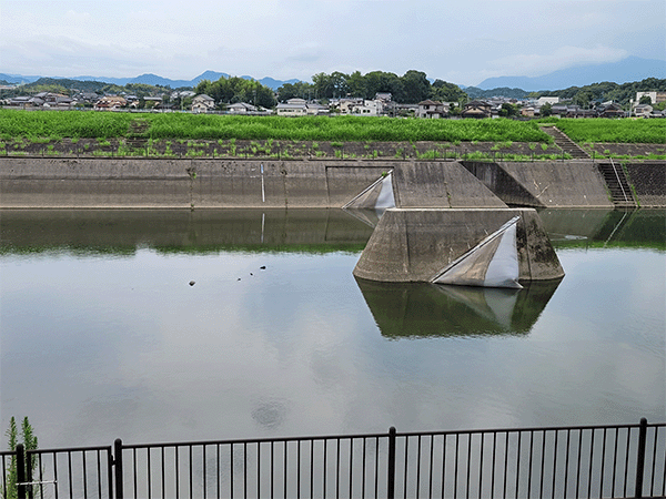 山田川｜白門堰