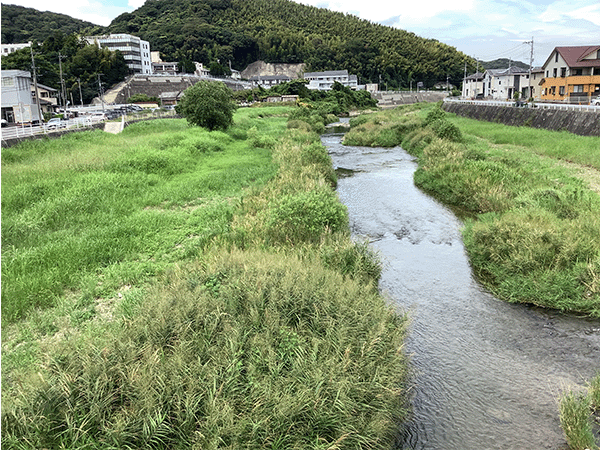 紫川｜中流