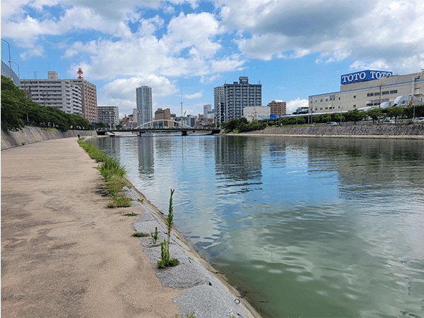 紫川｜下流