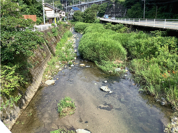 多々良川｜中流