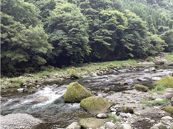 筑後川｜上流