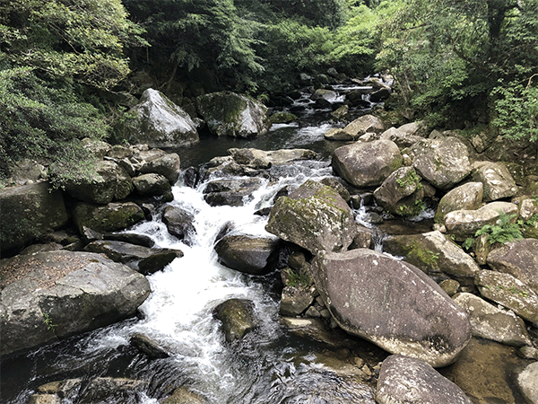 那珂川｜上流