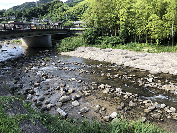 那珂川｜中流