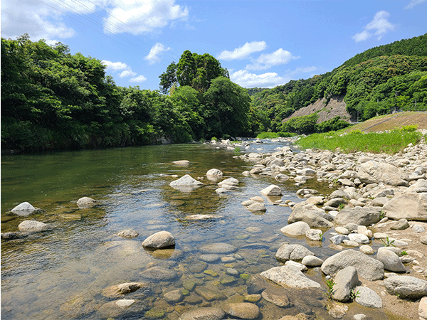 嘉瀬川｜中流